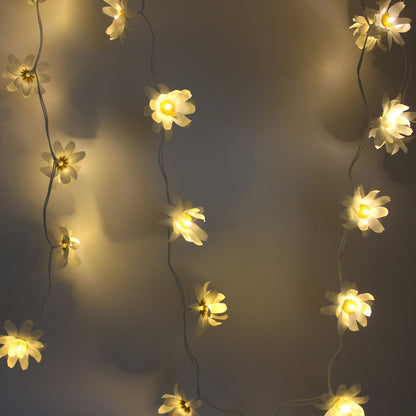 CVHOMEDECO. Daisy String Lights Artificial Silk Flowers Battery Powered Fairy Starry Lights for Wedding Birthday Party and Holiday Seasonal Décor, 8 ft/20 LEDs