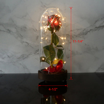 CVHOMEDECO. Battery Operated w/Timer LED Lighted and Red PU Rose with Fallen Petals in a Glass Dome, Great Gift for Valentine's Day Wedding Anniversary Birthday, Dia. 4.5 x H 11.25 Inch